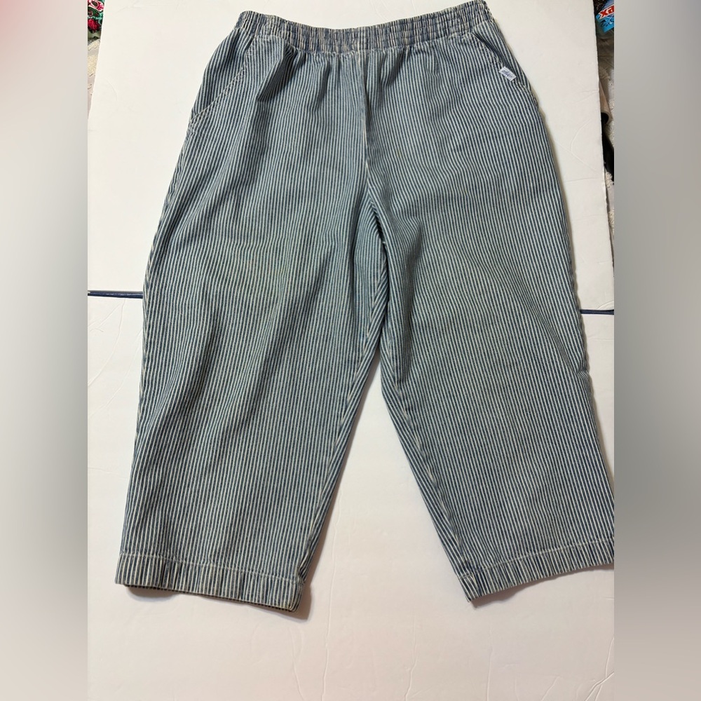 Vintage Chic Baggy Pants Floods Size 14